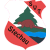 Wappen / Logo des Teams SV Turbo Stechau