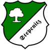 Wappen / Logo des Teams SG Aufbau Stepenitz