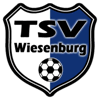 Wappen / Logo des Teams TSV Wiesenburg