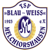 Wappen / Logo des Teams TSV Melchiorshausen