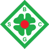 Wappen / Logo des Teams BSC Grnhfe