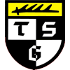 Wappen / Logo des Vereins TSG Balingen