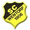 Wappen / Logo des Teams SC Wentorf 1.A (J1)