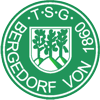 Wappen / Logo des Vereins TSG Bergedorf