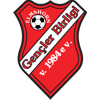 Wappen / Logo des Teams Gencler Birligi