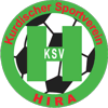 Wappen / Logo des Vereins FC Bingl 12