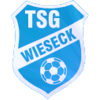 Wappen / Logo des Vereins TSG Gieen-Wieseck