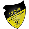 Wappen / Logo des Teams SV 1907 Geinsheim