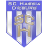 Wappen / Logo des Teams SC Hassia Dieburg 2