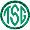 Wappen / Logo des Vereins TSG Neu-Isenburg
