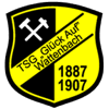 Wappen / Logo des Teams TSG Wattenbach 2