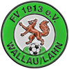 Wappen / Logo des Teams FV 1913 Wallau