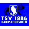 Wappen / Logo des Teams TSV Handschuhsheim