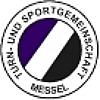 Wappen / Logo des Teams TSG Messel