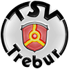 Wappen / Logo des Vereins TSV Trebur