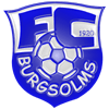 Wappen / Logo des Teams FC Burgsolms 3