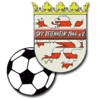 Wappen / Logo des Teams JSG Florstadt/Reichel.