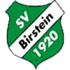 Wappen / Logo des Teams SV Birstein