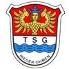 Wappen / Logo des Vereins TSG Nieder-Ohmen