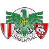 Wappen / Logo des Vereins DJK Ammerthal
