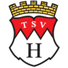 Wappen / Logo des Teams TSV Hilders