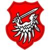 Wappen / Logo des Teams DMS Haunetal