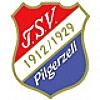 Wappen / Logo des Teams TSV Pilgerzell