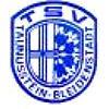 Wappen / Logo des Teams TSV Bleidenstadt 3