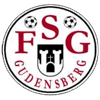Wappen / Logo des Teams JSG Gudensberg/Edermnde/B/W/B 2
